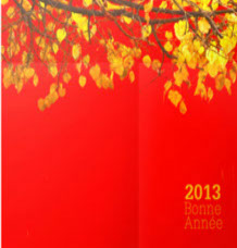 Affiche Voeux 2013