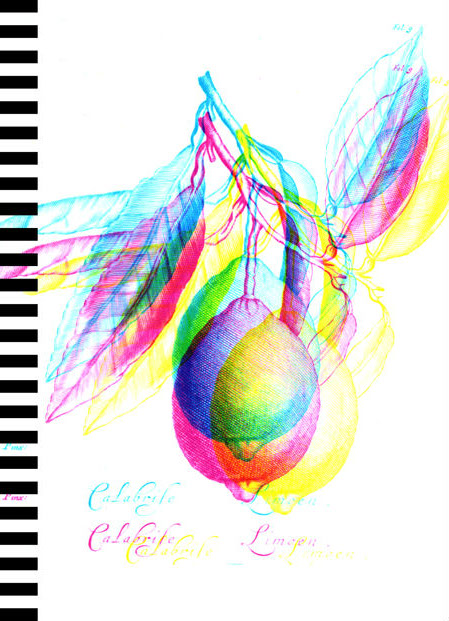 Carnet Citrus 1