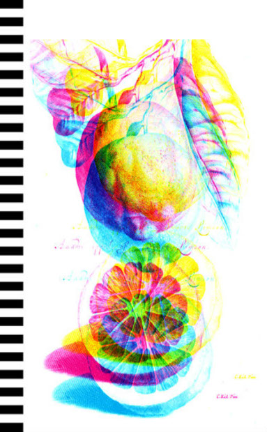 Carnet Citrus 2